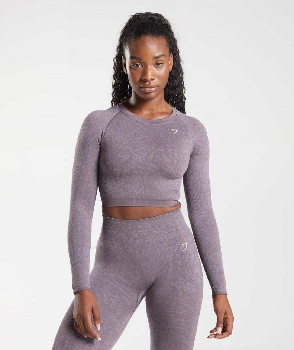 Corp Tops Gymshark Adapt Animal Seamless Encaje Up Back Mujer Moradas | CO 2406EBC